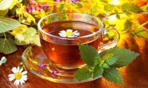 Лучшие желчегонные травы и особенности их применения