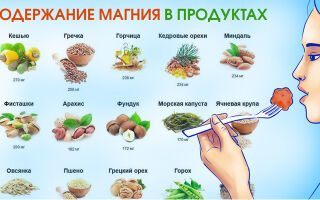 Желчегонные продукты — еда с желчегонным эффектом